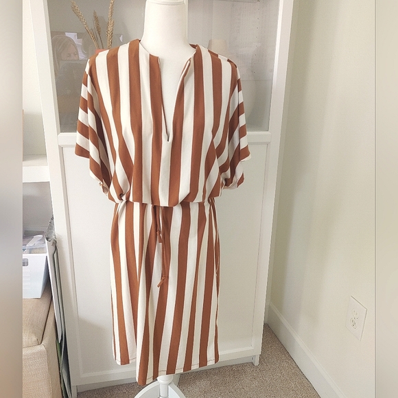 Zara Dresses & Skirts - NWT ZARA Stripped Drawstring Dress - Size Small